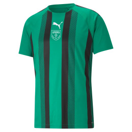 MAILLOT TEAMLIGA STRIPED...